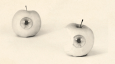 2 apple with eyes